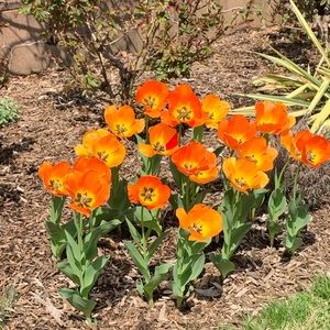 Meet your Posher, Faye